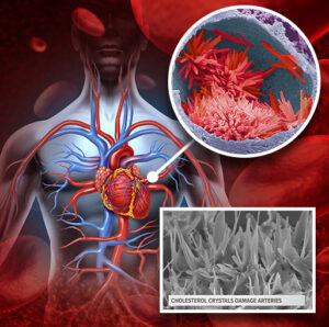 Benefits of CardioC2