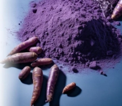 Purple Carrot Powder