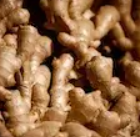 Wild Vietnamese Ginger Extract